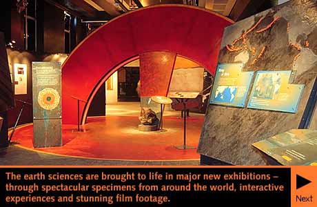 sala del Natural History Museum de Londres