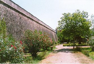 Die Mauer